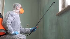 Why You Should Choose Our Mold Remediation Services in Westworth Village, TX